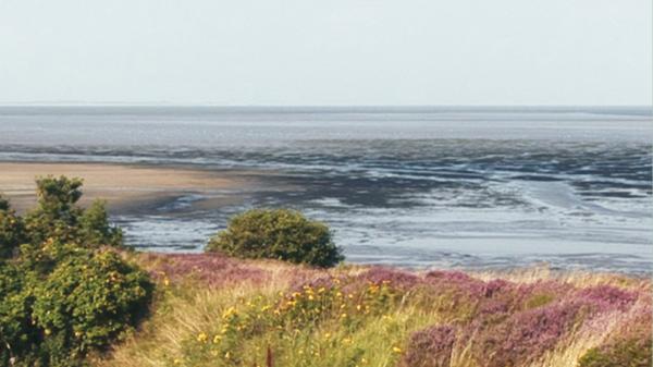 Lebensraum Wattenmeer