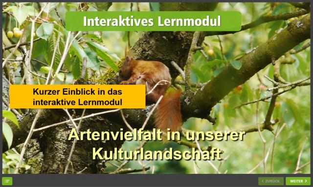 Kurvorschau Lernmodul Artenvielfalt